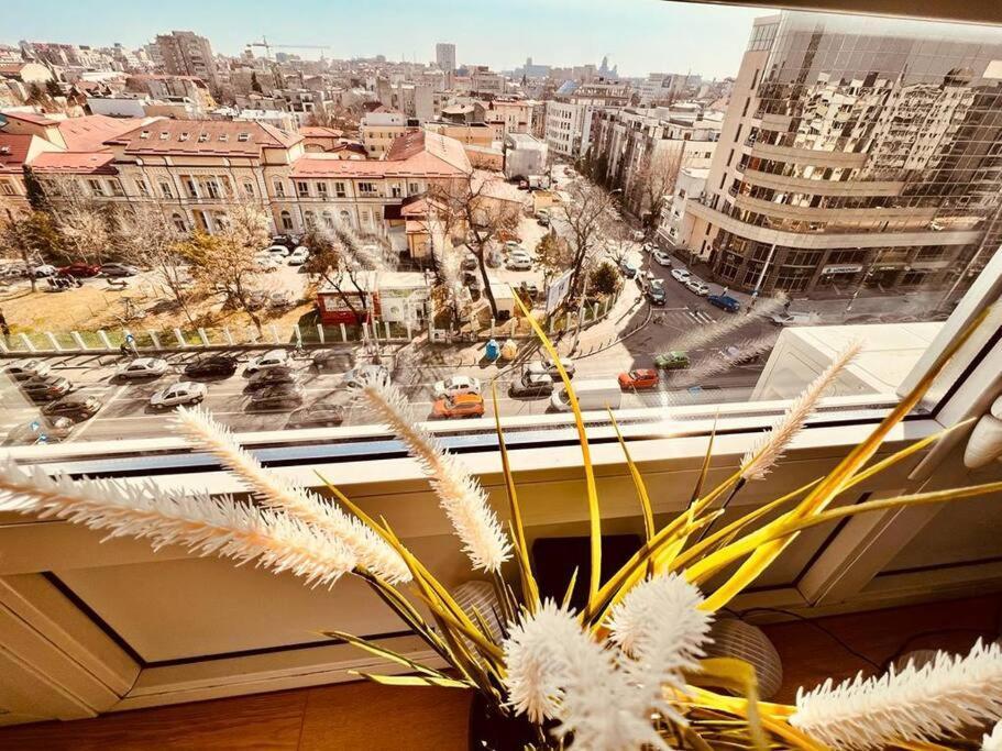 City View Studio In The Heart Of Bucharest Apartment Luaran gambar